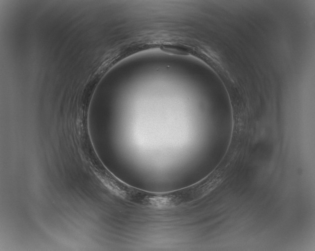 X0000053020265200507081334