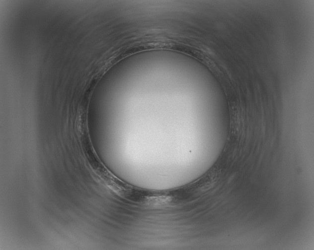 X0000053020266200507081334