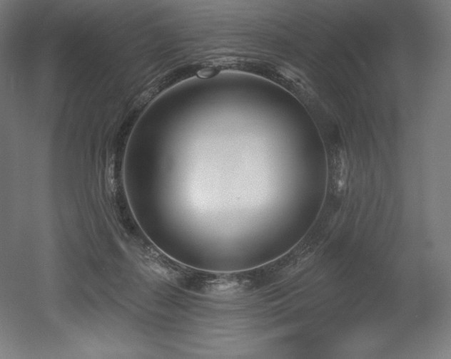 X0000053020267200507081334