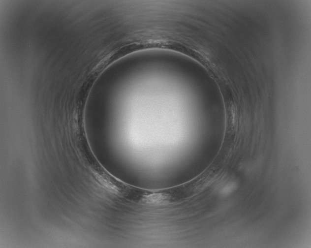 X0000053020269200507081334