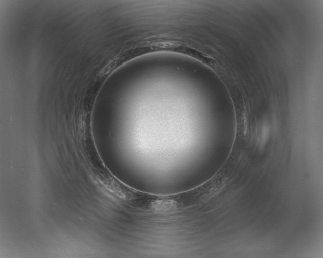 X0000053020271200507081334