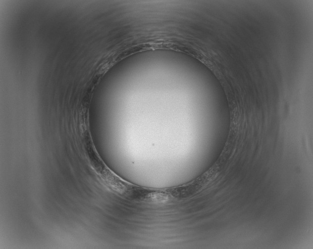 X0000053020272200507081334