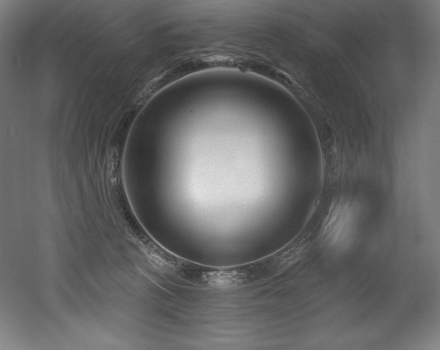 X0000053020273200507081334