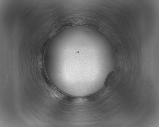 X0000053020274200507081334