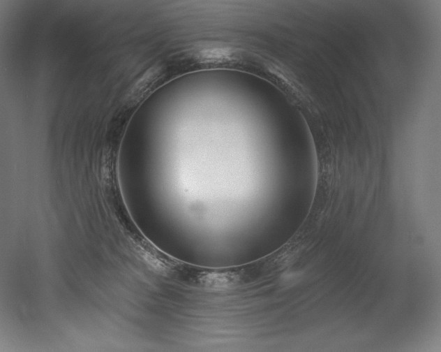 X0000053020277200507081334