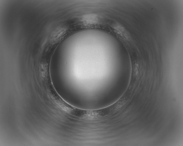 X0000053020278200507081334