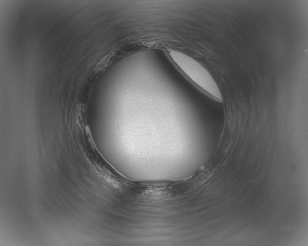 X0000053020280200507081334
