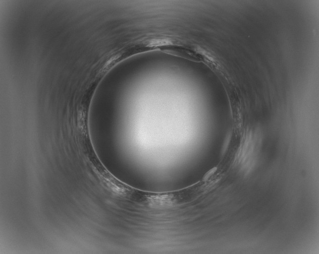 X0000053020281200507081334