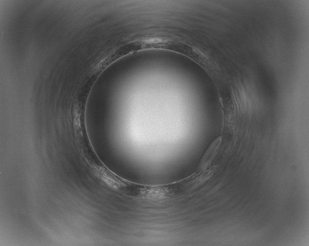 X0000053020282200507081334