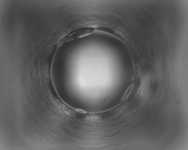 X0000053020283200507081334