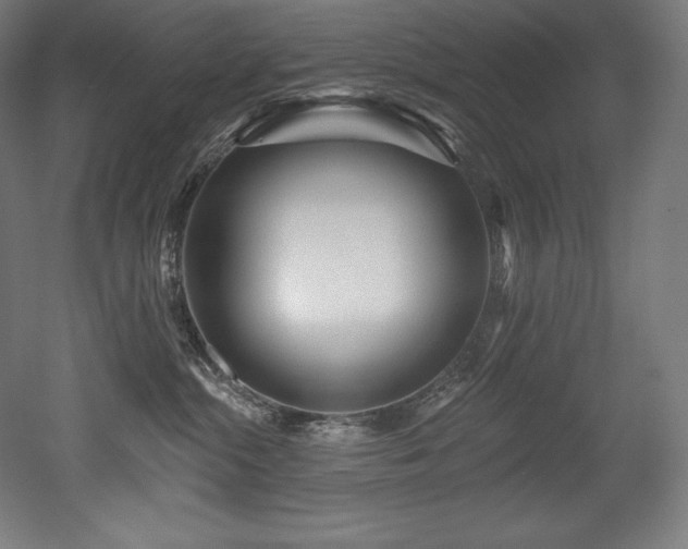 X0000053020284200507081334