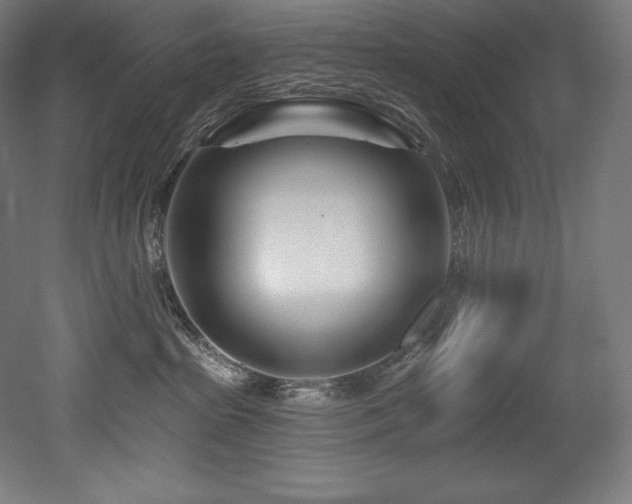 X0000053020285200507081334
