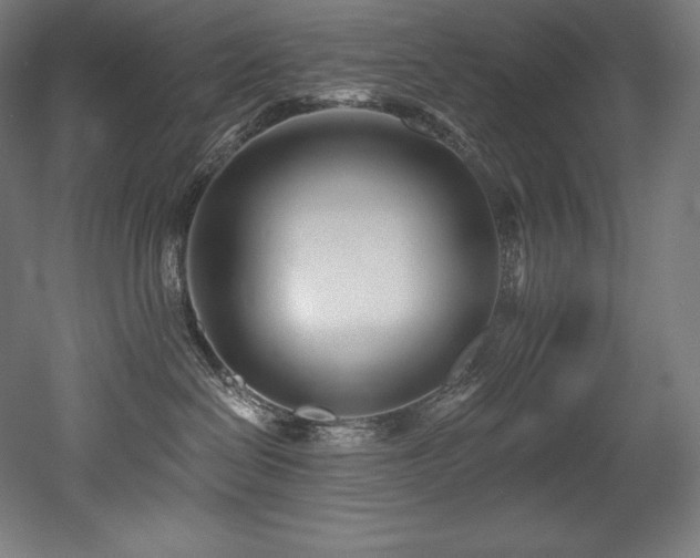 X0000053020286200507081334