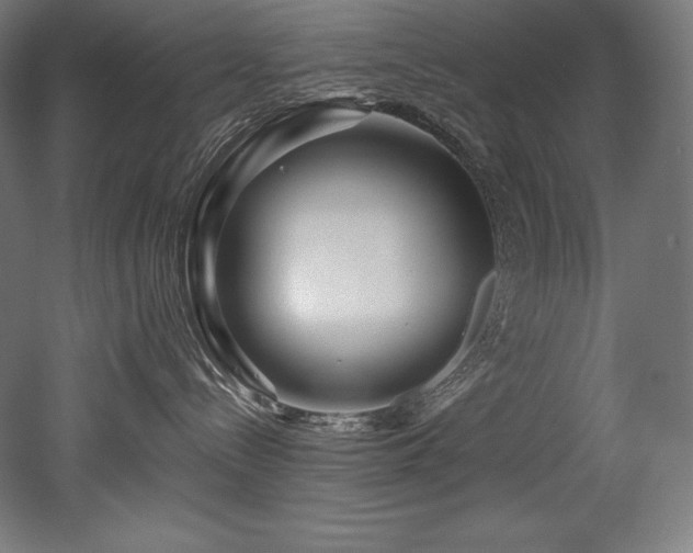 X0000053020288200507081334