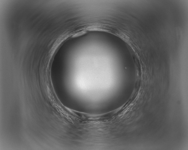 X0000053020289200507081333