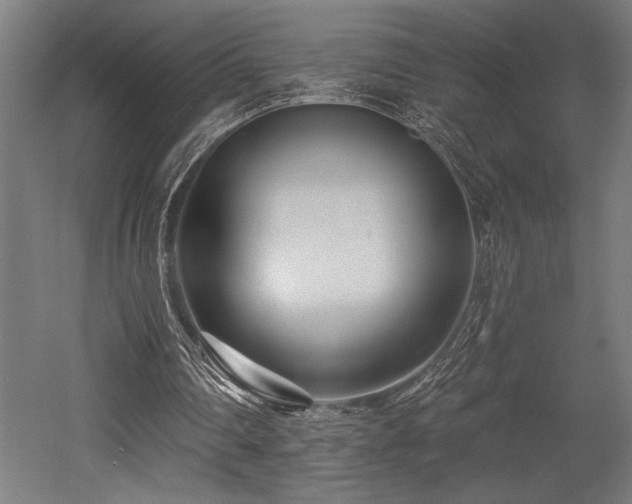 X0000053020290200507081333