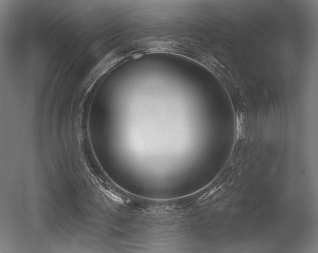 X0000053020291200507081333