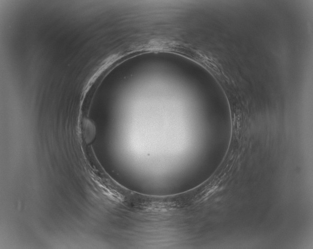 X0000053020292200507081333