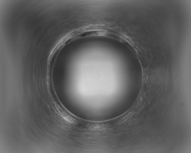X0000053020293200507081333