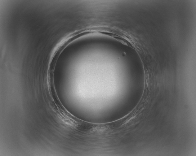 X0000053020294200507081333