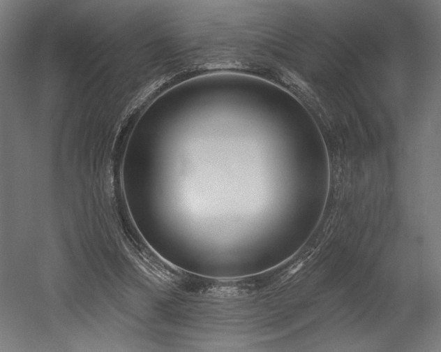 X0000053020298200507081333