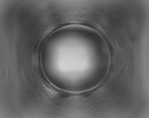 X0000053020299200507081333
