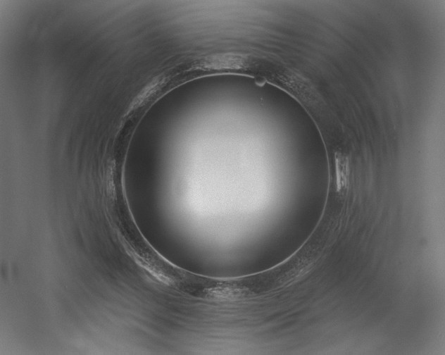 X0000053020300200507081333