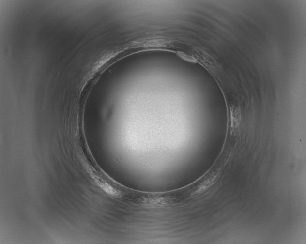 X0000053020301200507081333