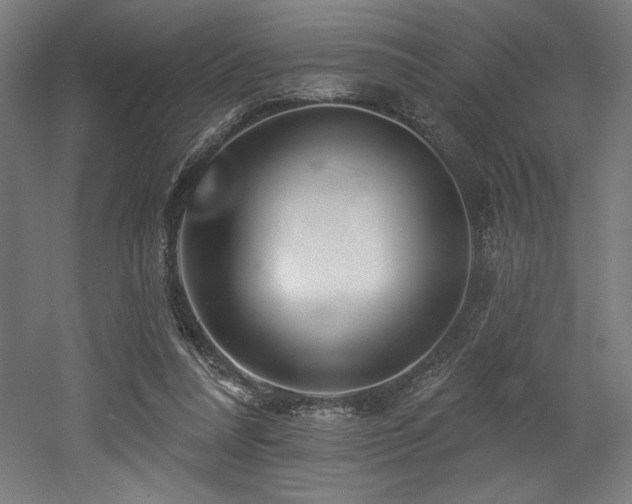 X0000053020304200507081333