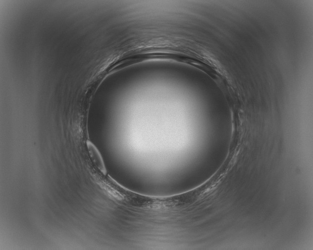 X0000053020305200507081333