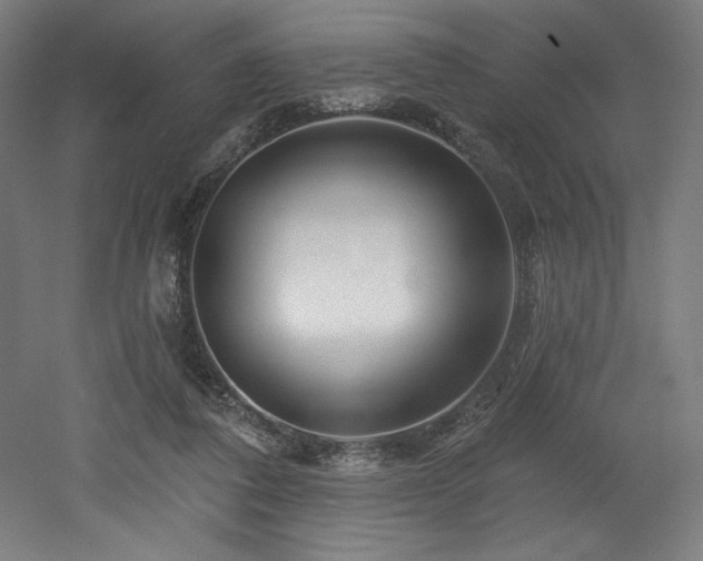 X0000053020308200507081333