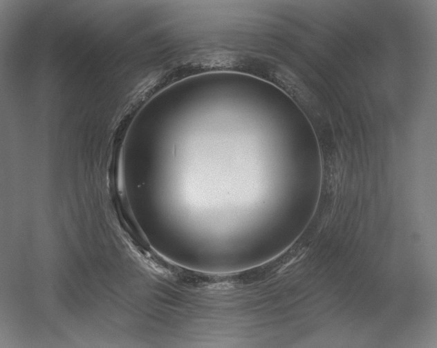 X0000053020309200507081333