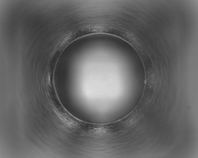 X0000053020310200507081333