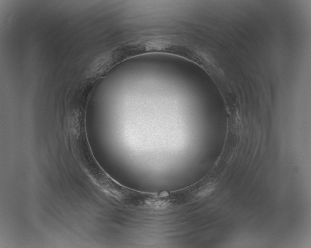 X0000053020311200507081333