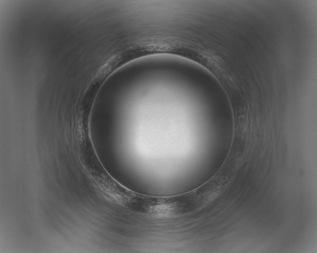 X0000053020312200507081333