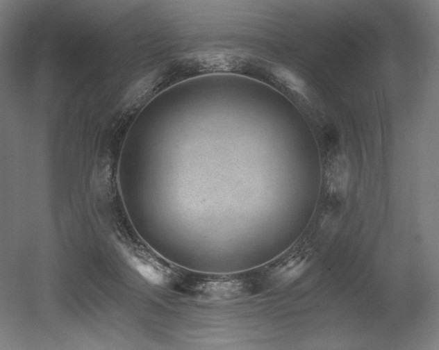 X0000053020314200507081333
