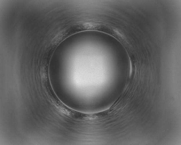 X0000053020317200507081333