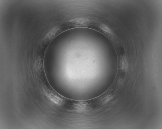 X0000053020318200507081333
