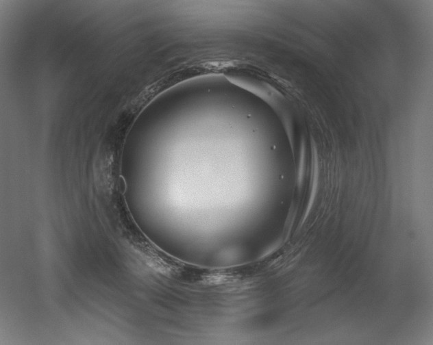 X0000053020319200507081333