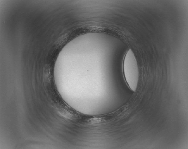 X0000053020320200507081333