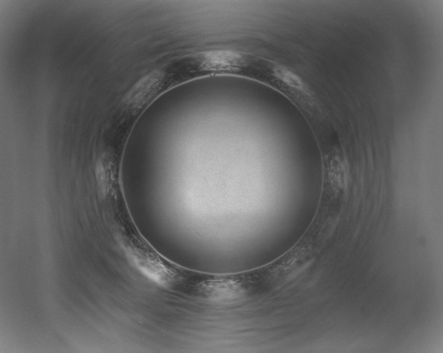X0000053020322200507081333