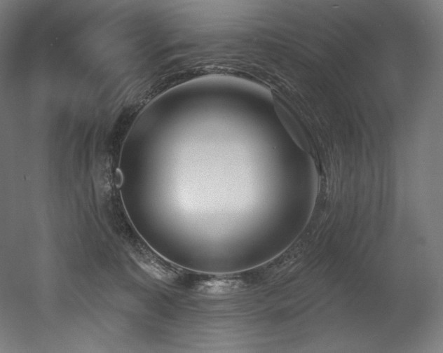 X0000053020323200507081333