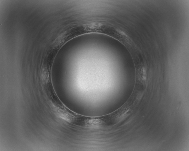 X0000053020324200507081333