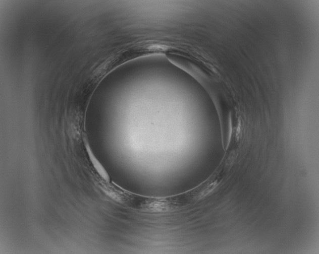 X0000053020325200507081332