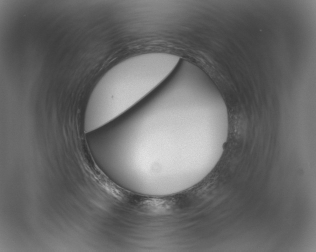 X0000053020326200507081332