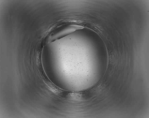 X0000053020327200507081332
