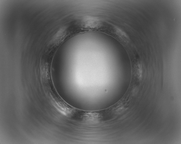 X0000053020328200507081332