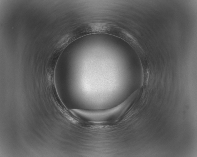 X0000053020329200507081332