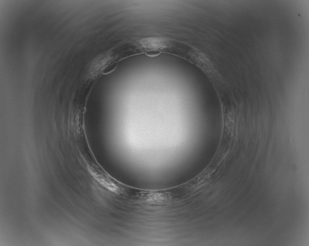 X0000053020330200507081332