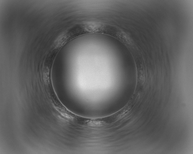 X0000053020332200507081332